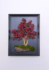 Flowers Bonsai Tabloau