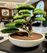 Decorative indoor plant in a large pot with a modern interior background