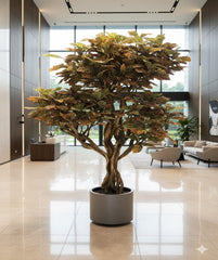 Luxury Handcrafted Croton Tree – Vibrant Elegance for Modern Spaces