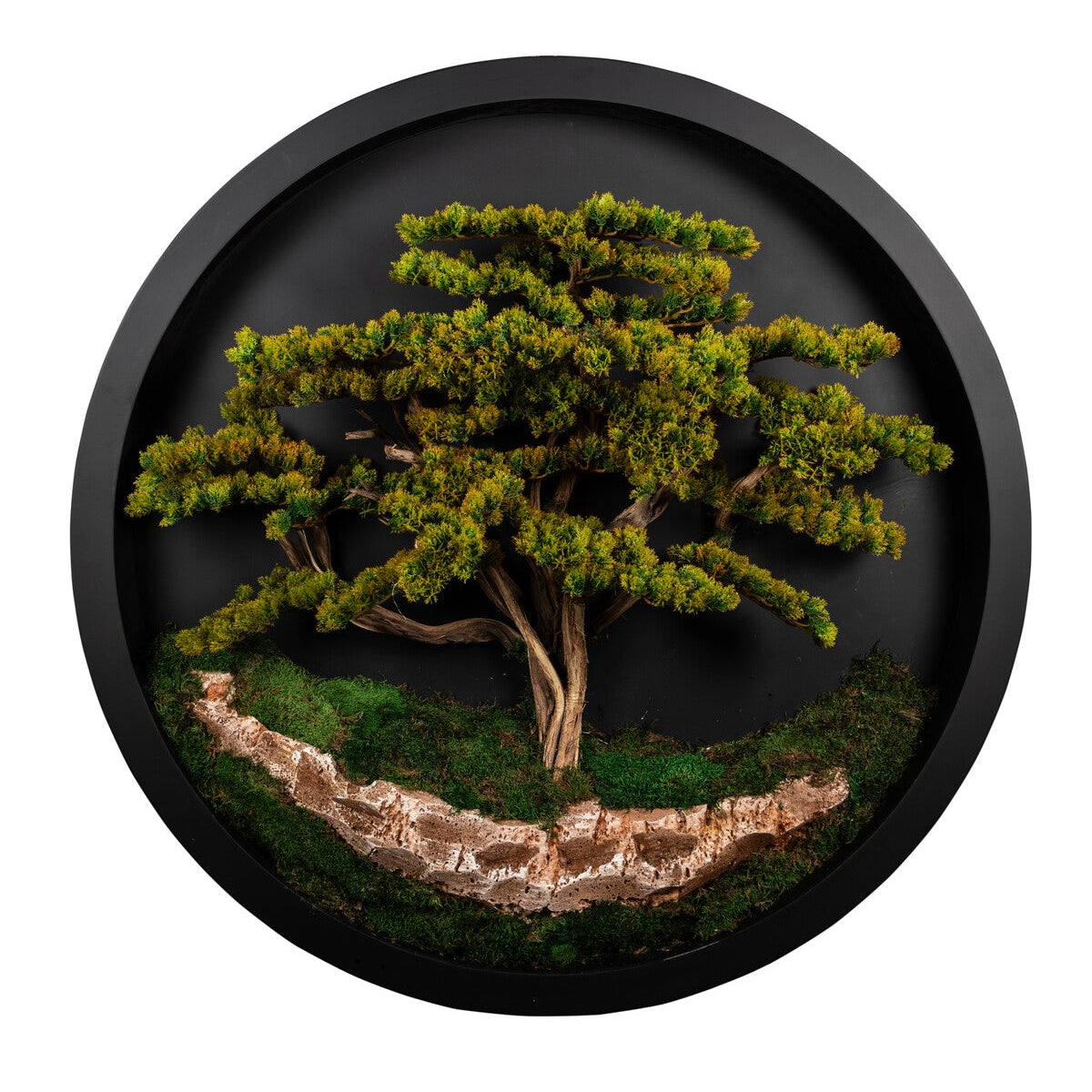 Big Bonsai Tabloau