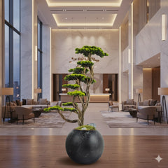 Mira Bonsai – 2 | Bonavi Design