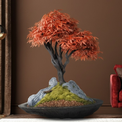 Mini Bonsai